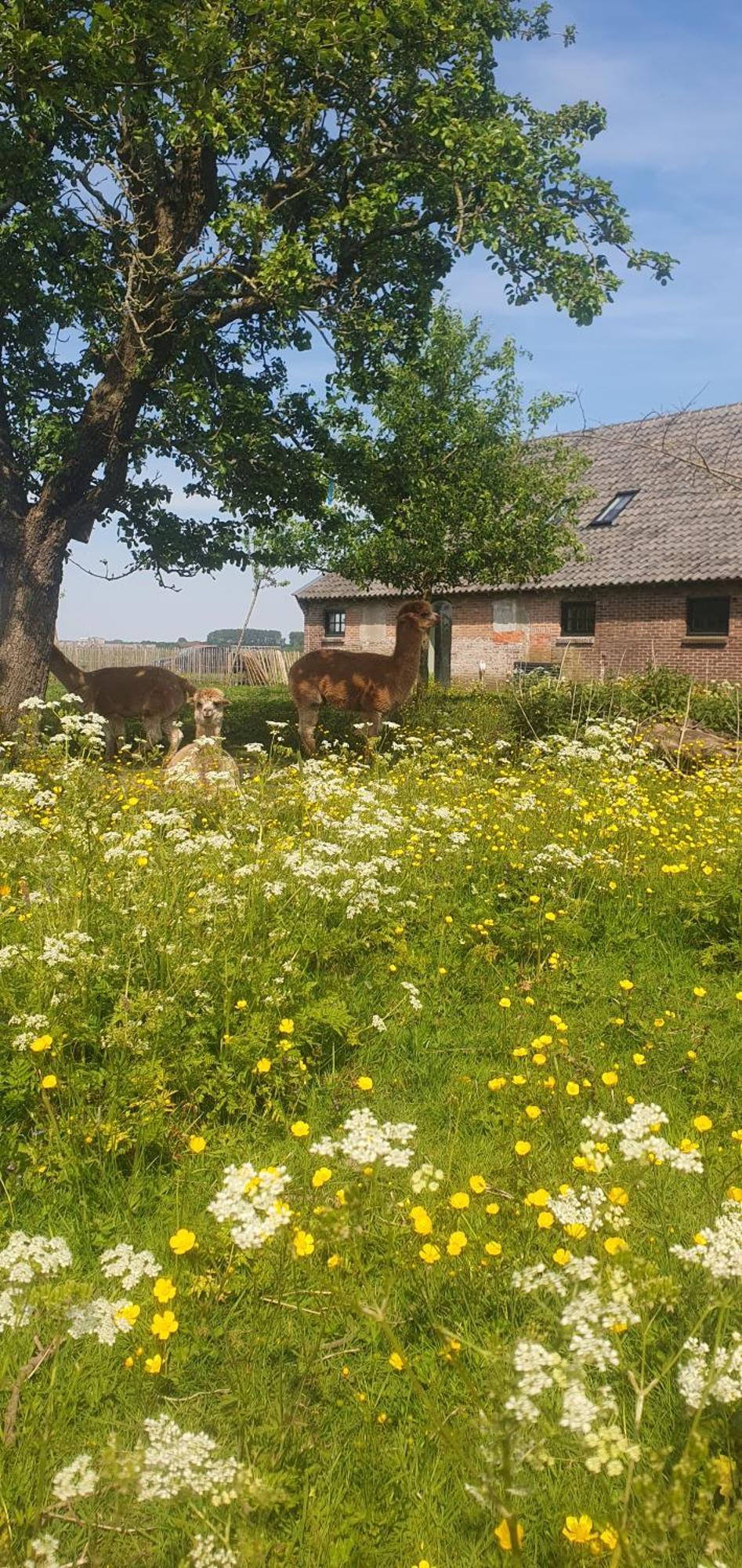 De Wagenloods Alphen aan den Rijn Exterior foto